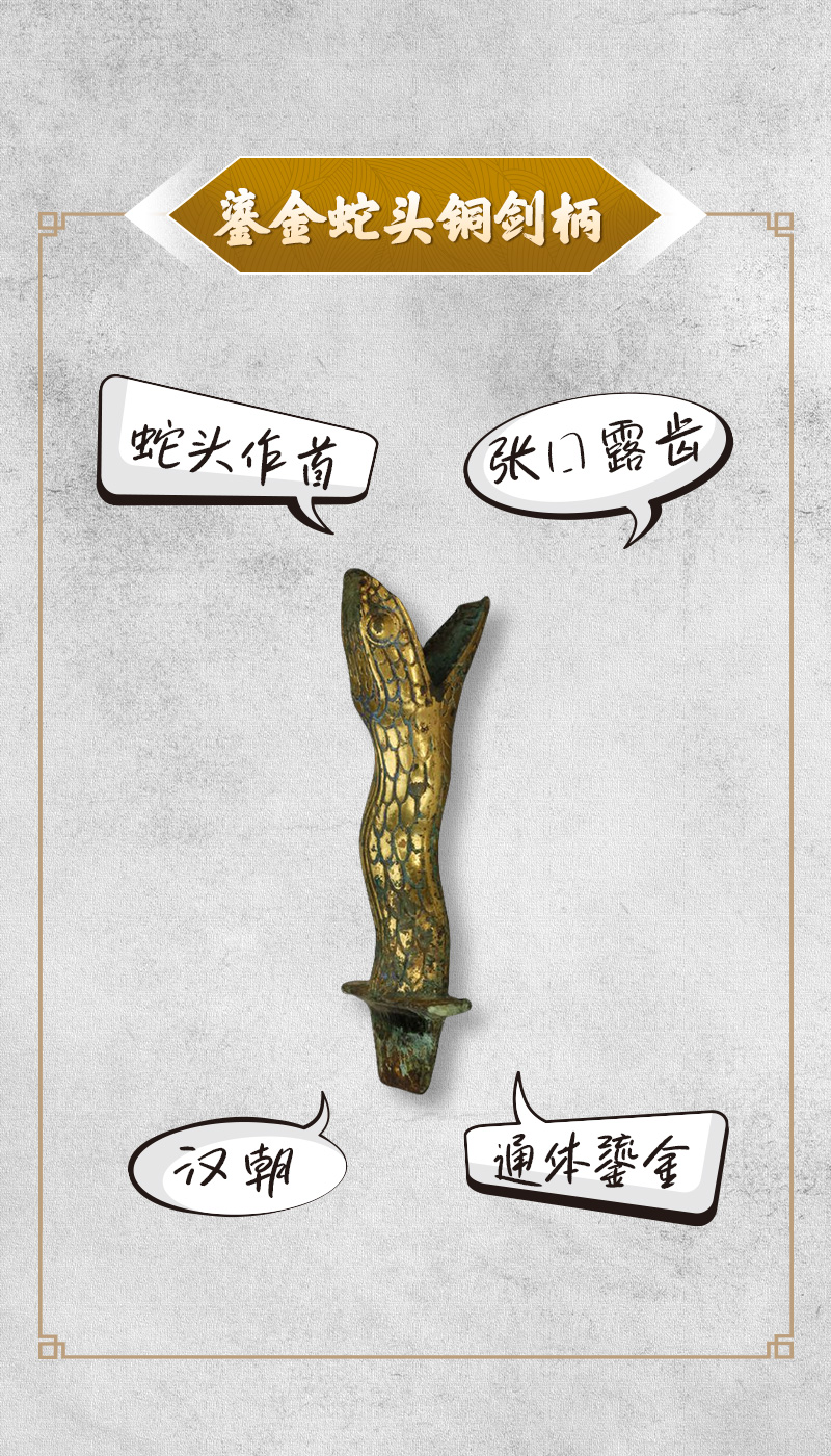 文物会说话｜寻找文物里的“它” 知识普及 第6张