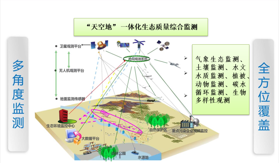 广元聚力守护翠云廊千年瑰宝 赓续蜀道文脉 知识普及 第5张